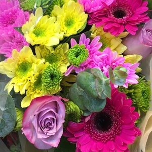 Meet your Posher, Danielle