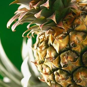 Meet your Posher, Celina