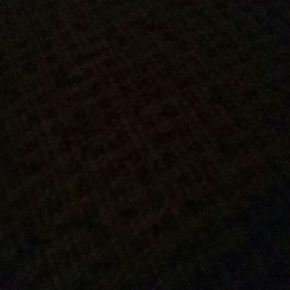 Meet your Posher, Liz