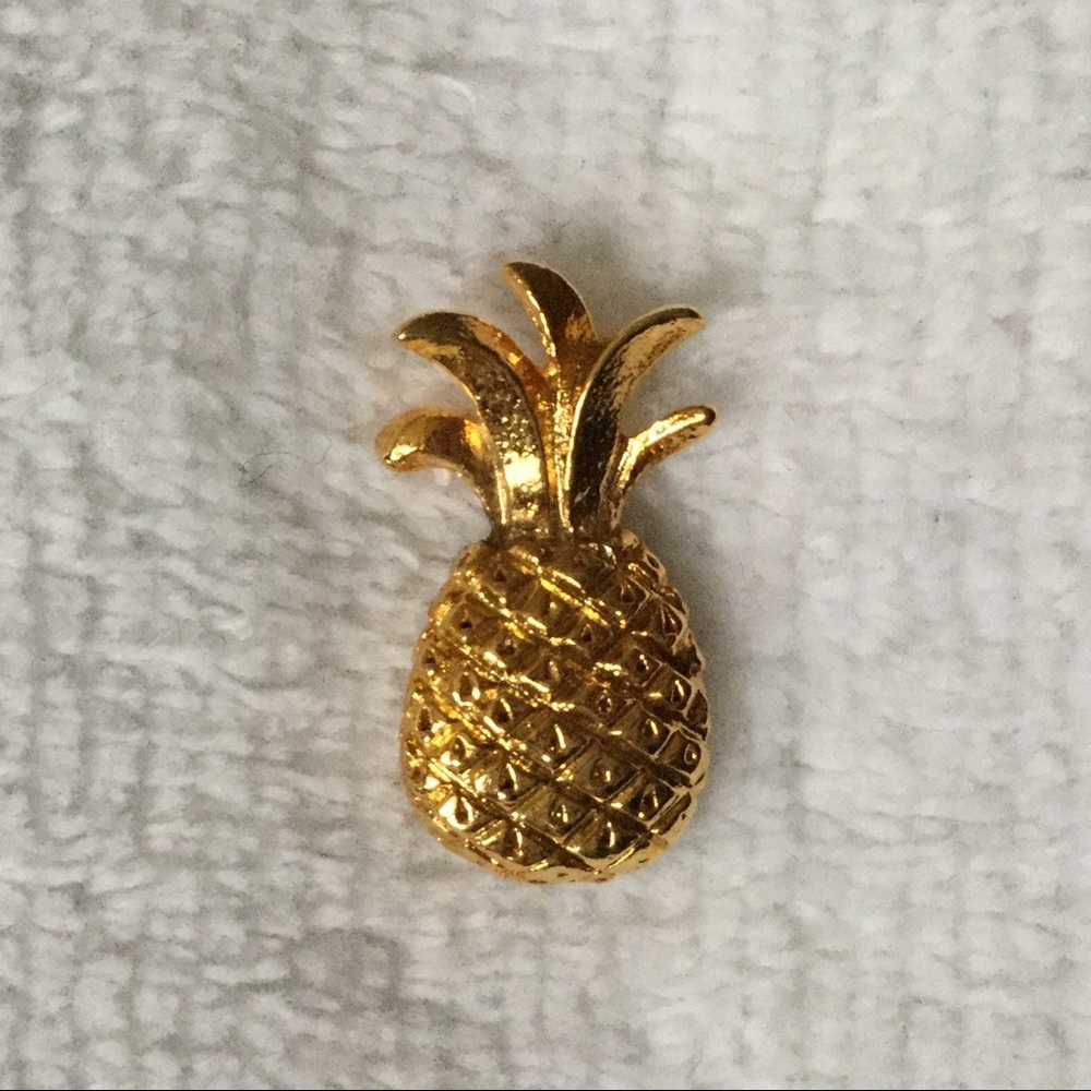 Cute Pineapple Pin! 🍍