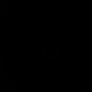 Meet your Posher, Vioelet