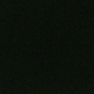 Meet your Posher, Shaun