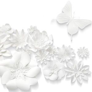 Meet your Posher, Alaa