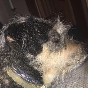 Meet your Posher, Molly