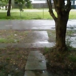 Meet your Posher, Ellsworth