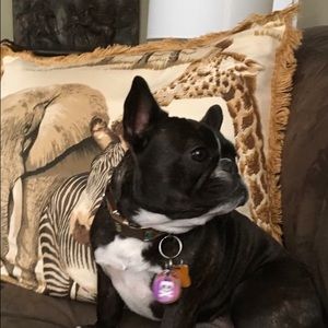 Meet your Posher, Victoria