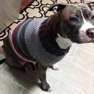 Meet your Posher, Josephine