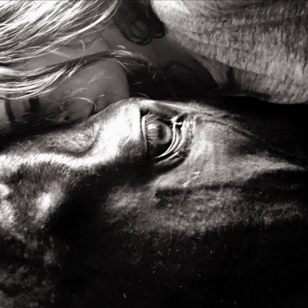 Meet your Posher, Cayla