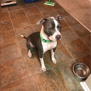 Meet your Posher, Derrick