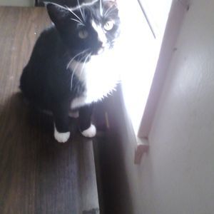 Meet your Posher, Susie