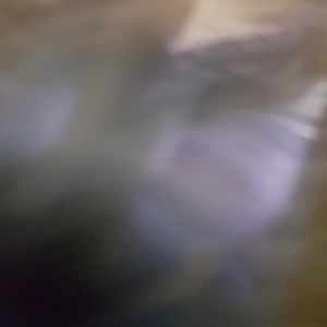 Meet your Posher, Savanie