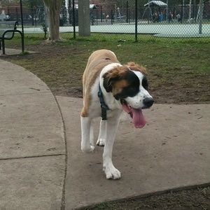 Meet your Posher, Tasha