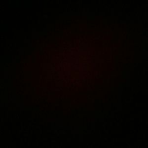 Meet your Posher, Koral