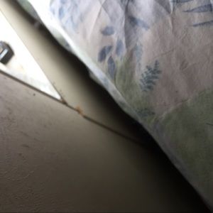 Meet your Posher, Bob