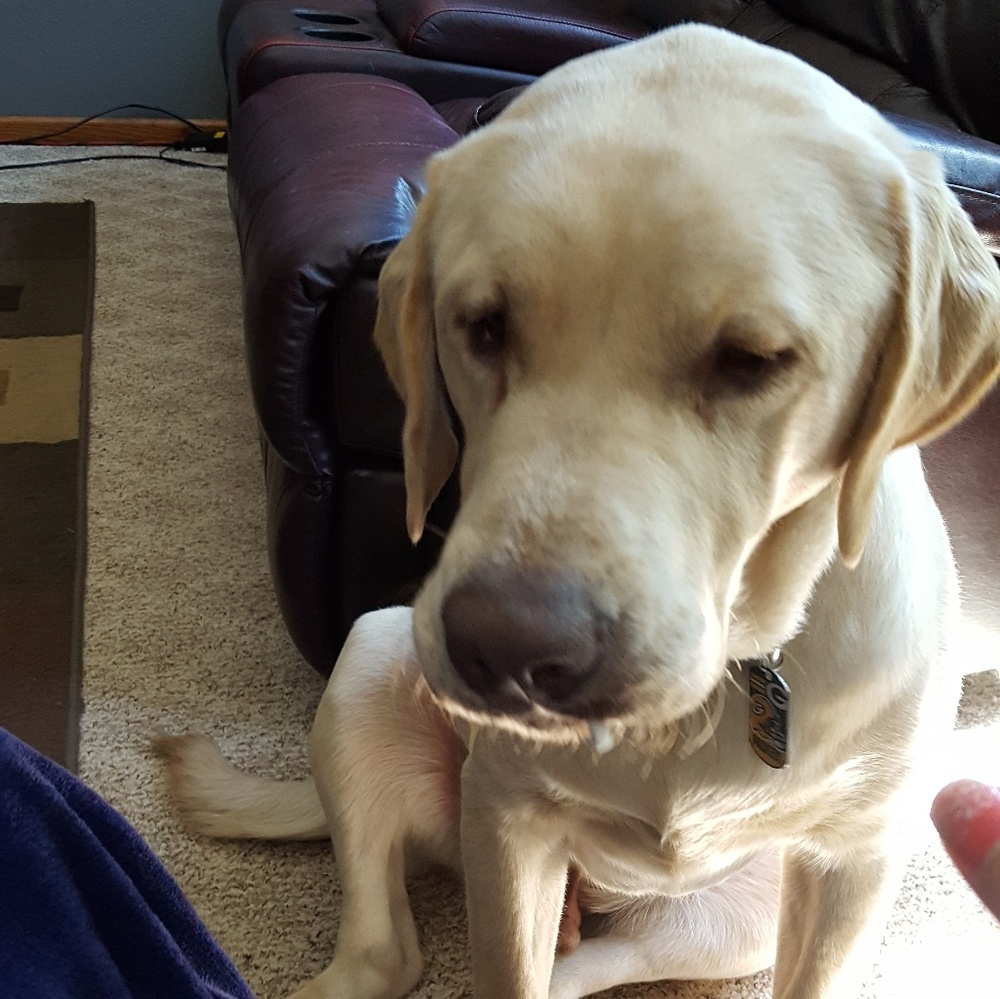 Meet your Posher, Dana