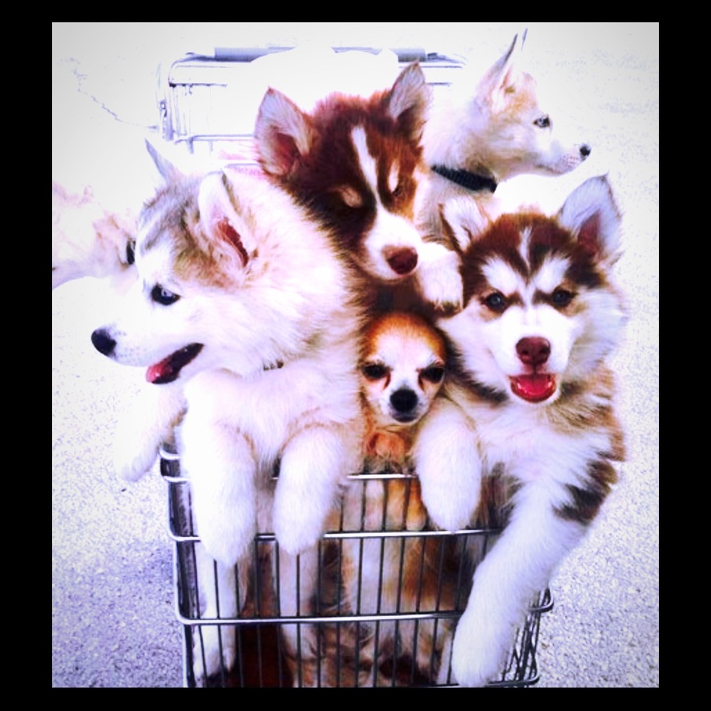BUNDLES?