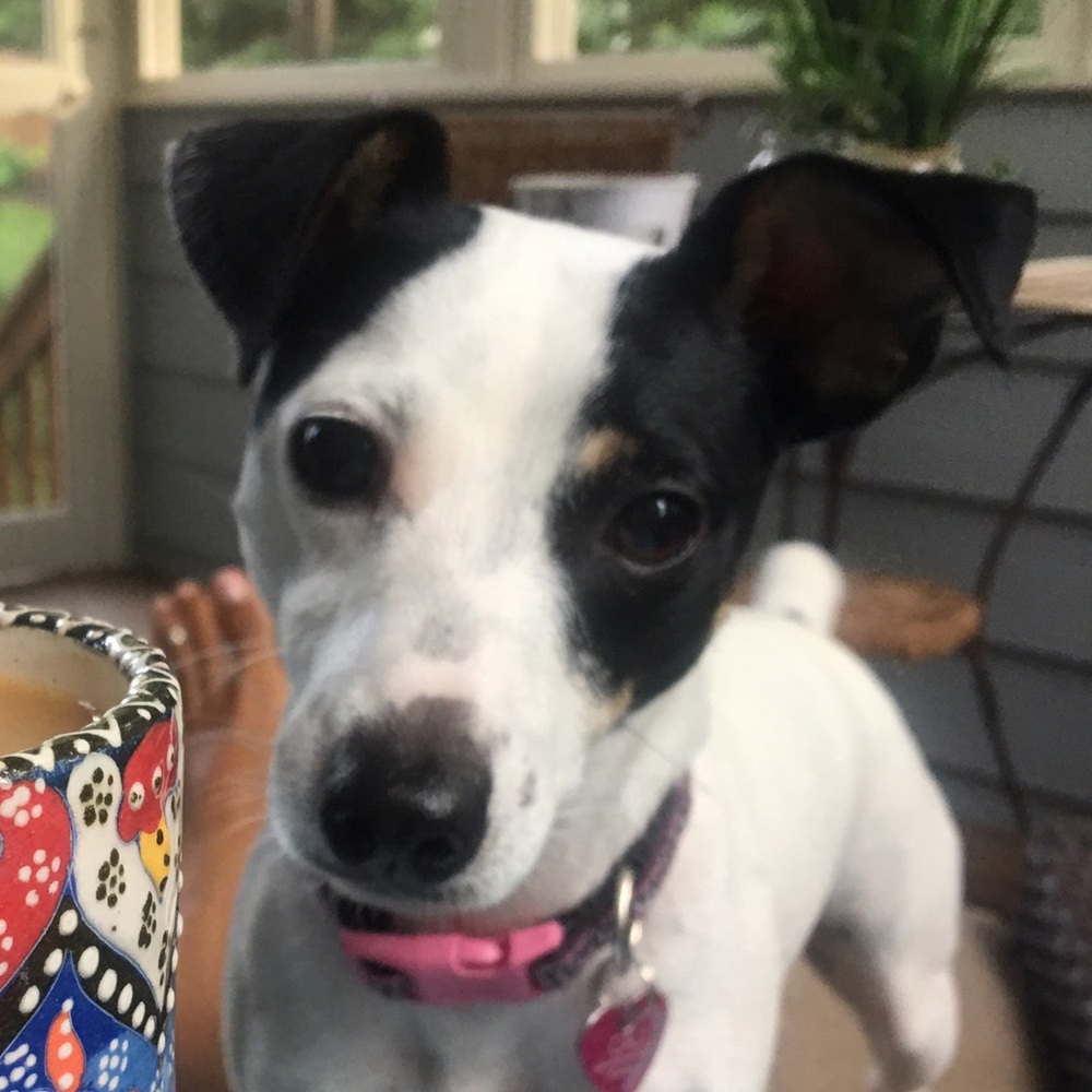 Meet your Posher, Tammy