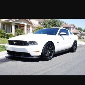 Meet your Posher, Austin