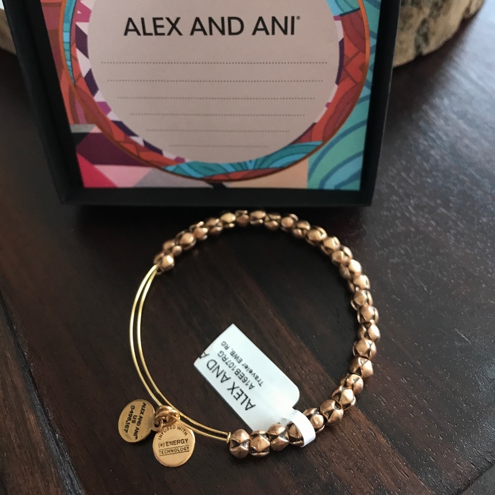 Alex and Ani Traveler Bangle. New
