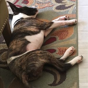 Meet your Posher, Michael