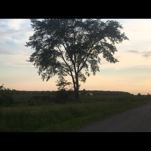 Meet your Posher, Ansley