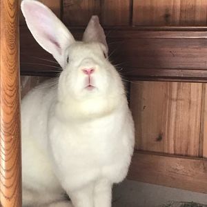 Meet your Posher, Erica n john