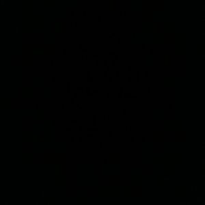 Meet your Posher, Alonzo