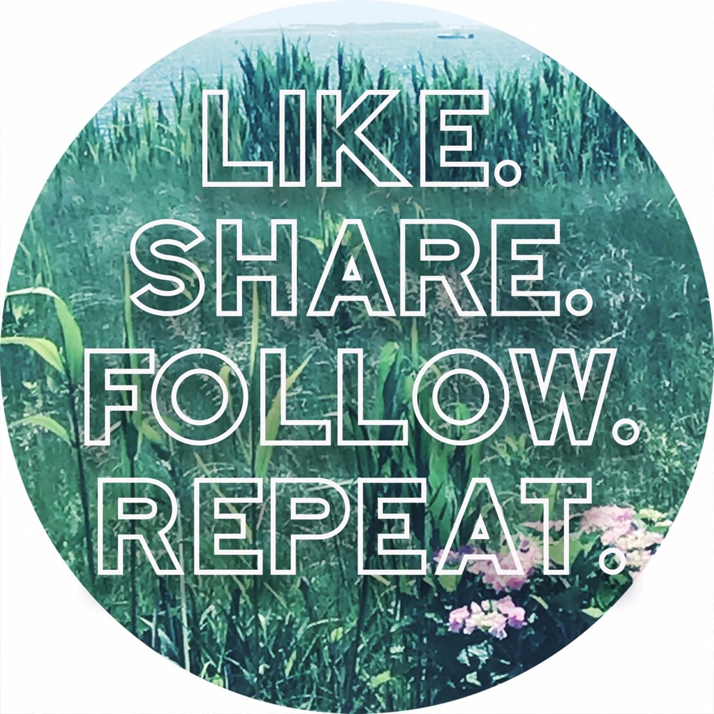 My 1st Follow Game 🌿 Come Back & Follow new Likes