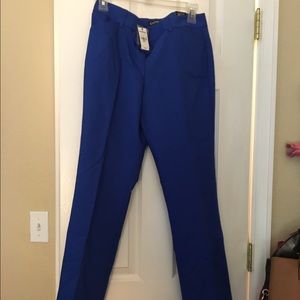 NWT Blue Express Pants