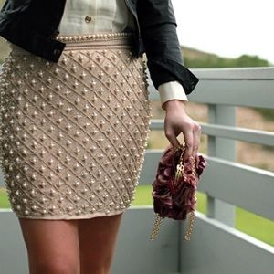 Zara pearl embroidered skirt