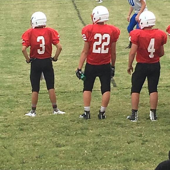 Meet your Posher, Perry - Picture 1 of 1