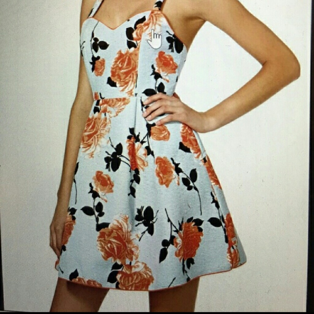 Mink Pink Satin Party Dress