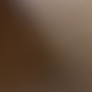 Meet your Posher, Rainey