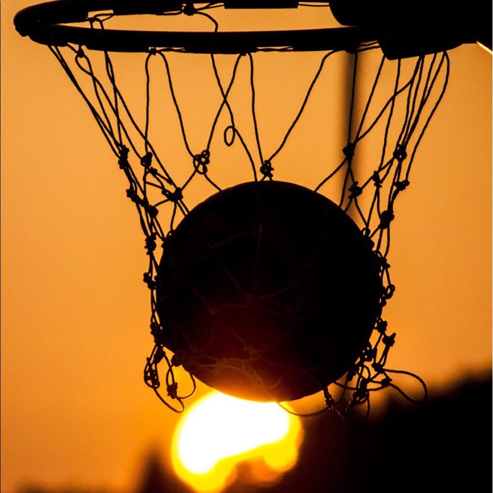 Meet your Posher, Dianne