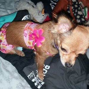 Meet your Posher, Mandy