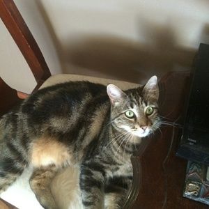 Meet your Posher, Cliff