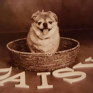 Meet your Posher, Mindi