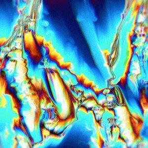 Meet your Posher, Damaris