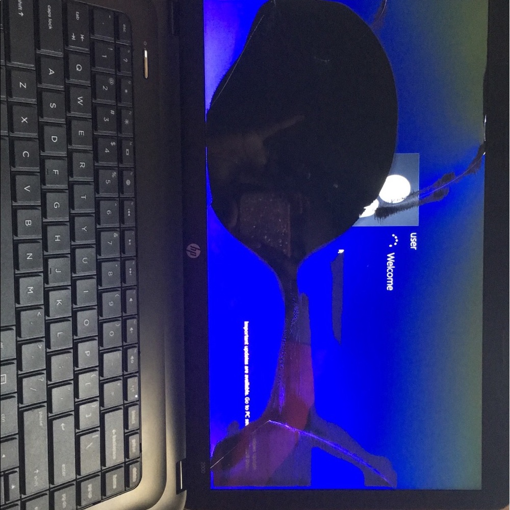 HP Winter Blue 15.6" 2000-2b19wm Laptop PC