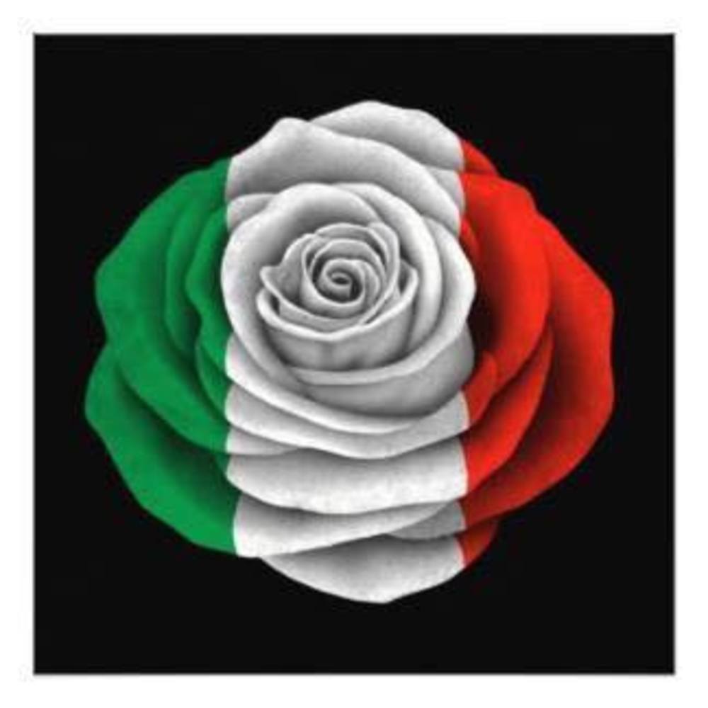 Meet your Posher, Frances