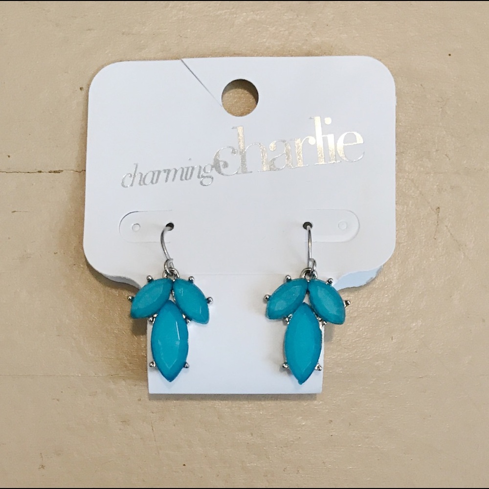 Charming Charlie Jewel-Like Earrings