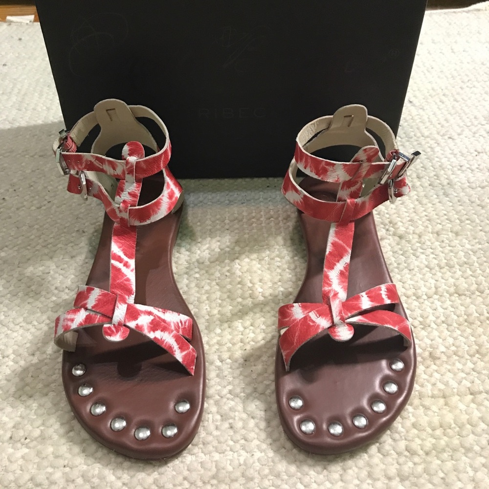 Matt Bernson KM Gladiator