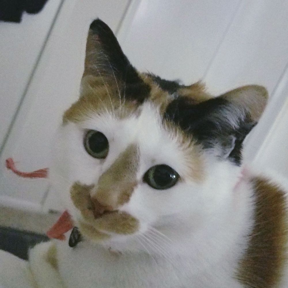 Meet your Posher, Darlene