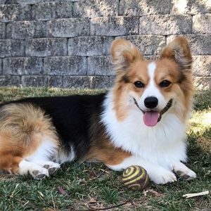 Meet your Posher, Elisa