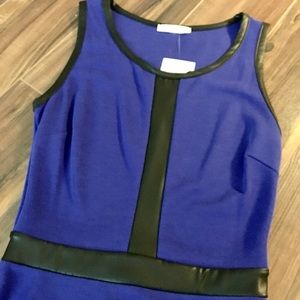 Faux Leather Trim Dress