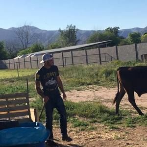 Meet your Posher, Jake