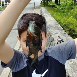 Meet your Posher, Paul