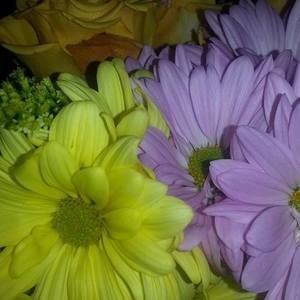 Meet your Posher, Stacy