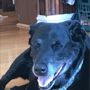 Meet your Posher, Elise