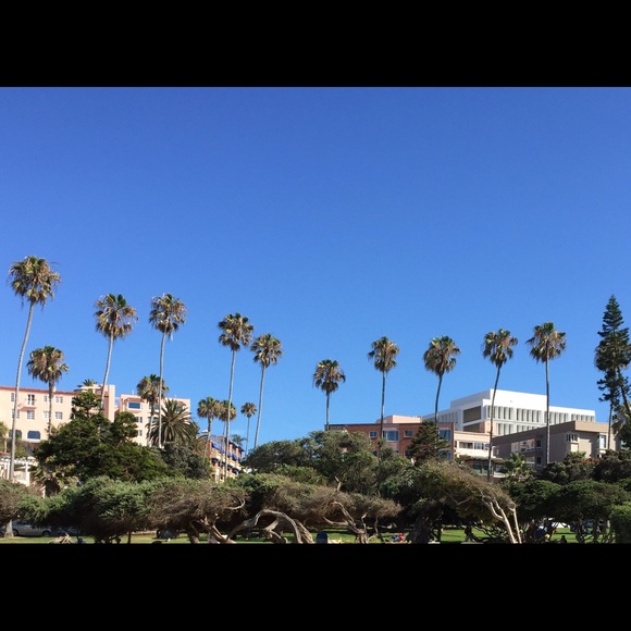 Meet your Posher, Teresa - Picture 2 of 7